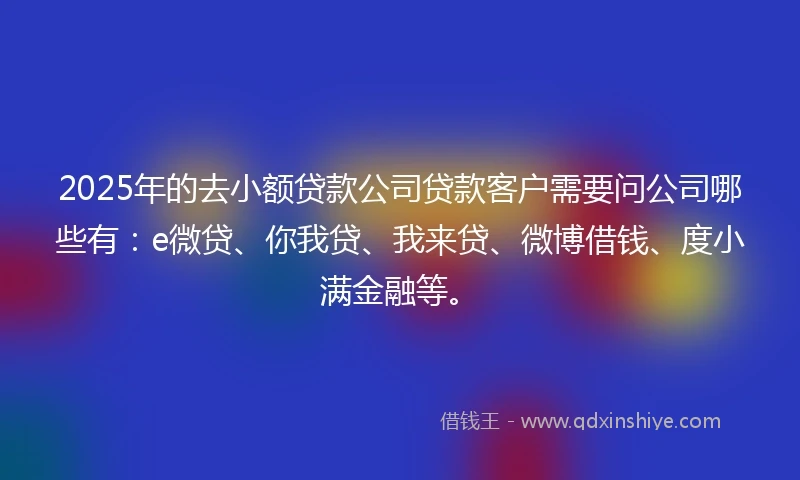 2025年的去小额贷款公司贷款客户需要问公司哪些有：e微贷、你我贷、我来贷、微博借钱、度小满金融等。