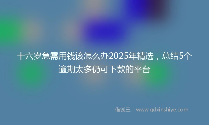 十六岁急需用钱该怎么办2025年精选，总结5个逾期太多仍可下款的平台