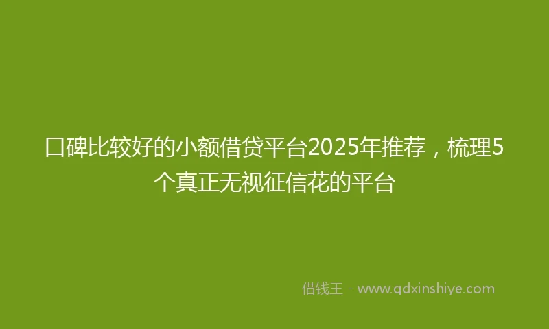 口碑比较好的小额借贷平台2025年推荐,梳理5个真正无视征信花的平台