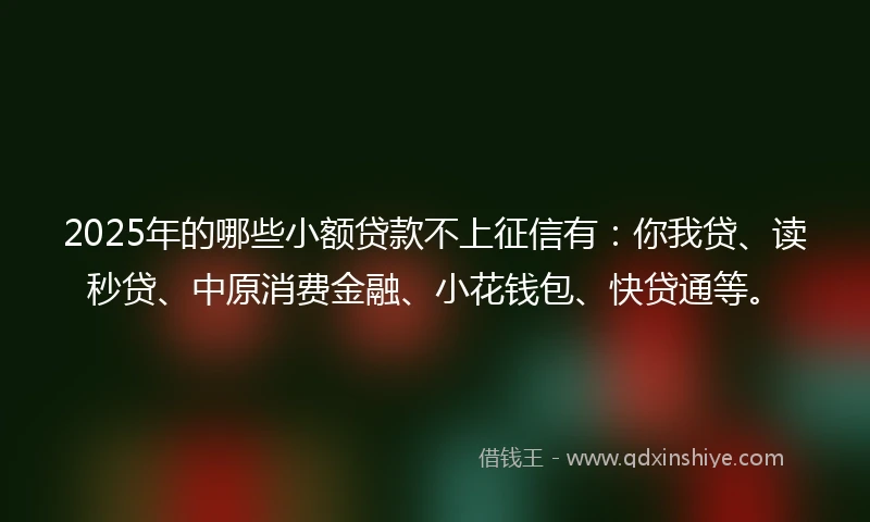 2025年的哪些小额贷款不上征信有：你我贷、读秒贷、中原消费金融、小花钱包、快贷通等。