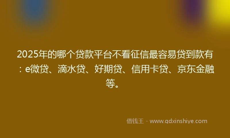 2025年的哪个贷款平台不看征信最容易贷到款有：e微贷、滴水贷、好期贷、信用卡贷、京东金融等。
