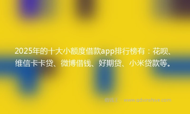 2025年的十大小额度借款app排行榜有：花呗、维信卡卡贷、微博借钱、好期贷、小米贷款等。