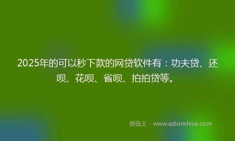 2025年的可以秒下款的网贷软件有：功夫贷、还呗、花呗、省呗、拍拍贷等。