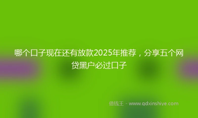 哪个口子现在还有放款2025年推荐，分享五个网贷黑户必过口子