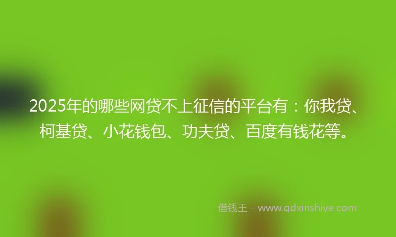 2025年的哪些网贷不上征信的平台有：你我贷、柯基贷、小花钱包、功夫贷、百度有钱花等。