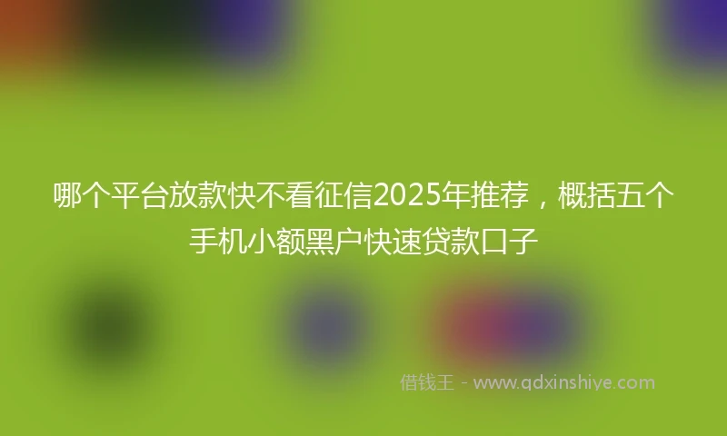 哪个平台放款快不看征信2025年推荐，概括五个手机小额黑户快速贷款口子
