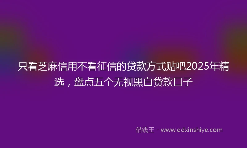 只看芝麻信用不看征信的贷款方式贴吧2025年精选，盘点五个无视黑白贷款口子
