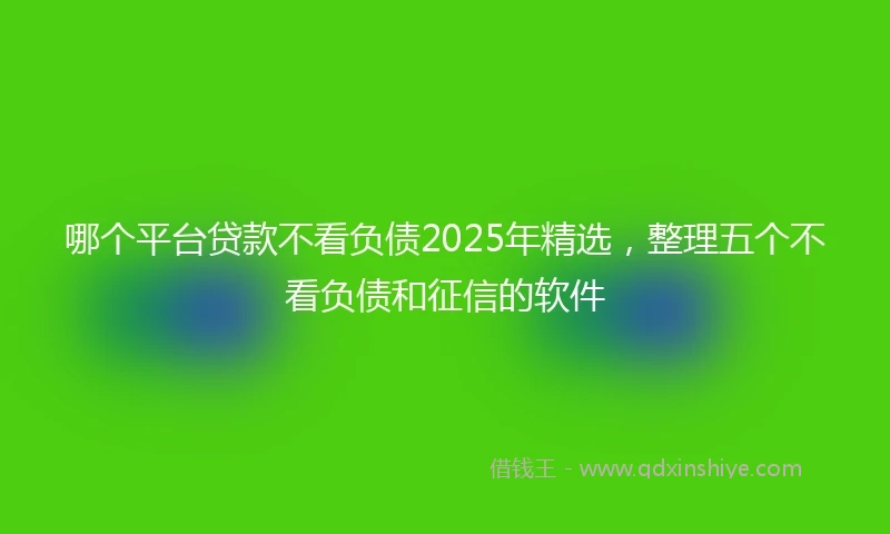 哪个平台贷款不看负债2025年精选，整理五个不看负债和征信的软件