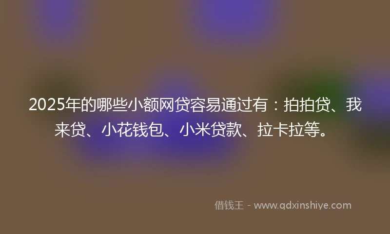 2025年的哪些小额网贷容易通过有：拍拍贷、我来贷、小花钱包、小米贷款、拉卡拉等。