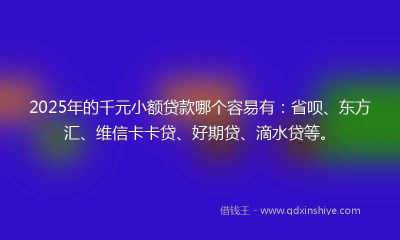 2025年的千元小额贷款哪个容易有：省呗、东方汇、维信卡卡贷、好期贷、滴水贷等。