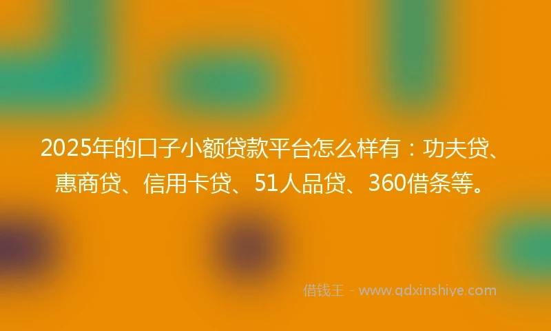 2025年的口子小额贷款平台怎么样有：功夫贷、惠商贷、信用卡贷、51人品贷、360借条等。