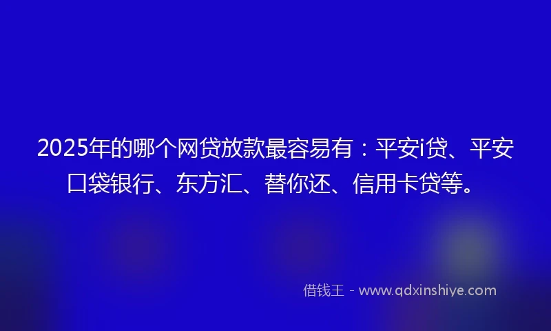 2025年的哪个网贷放款最容易有：平安i贷、平安口袋银行、东方汇、替你还、信用卡贷等。