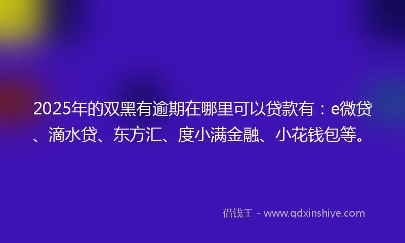 2025年的双黑有逾期在哪里可以贷款有：e微贷、滴水贷、东方汇、度小满金融、小花钱包等。