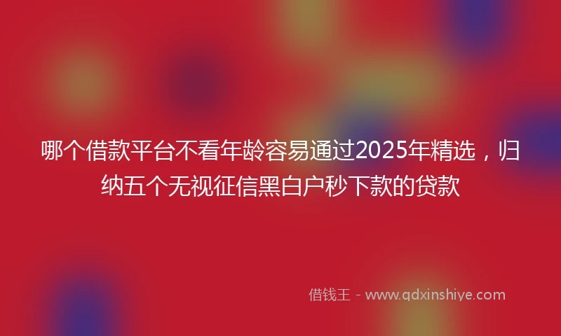 哪个借款平台不看年龄容易通过2025年精选，归纳五个无视征信黑白户秒下款的贷款
