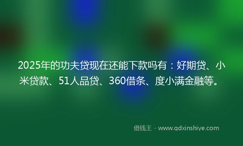 2025年的功夫贷现在还能下款吗有：好期贷、小米贷款、51人品贷、360借条、度小满金融等。