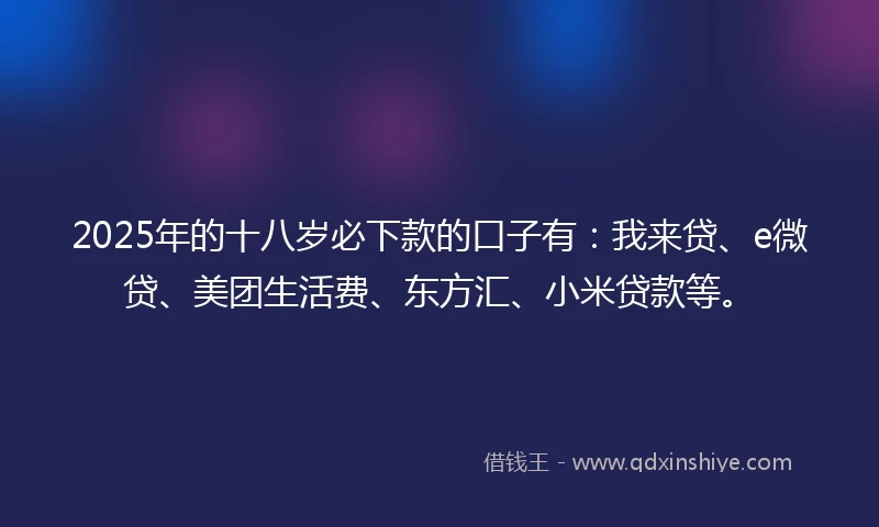 2025年的十八岁必下款的口子有：我来贷、e微贷、美团生活费、东方汇、小米贷款等。