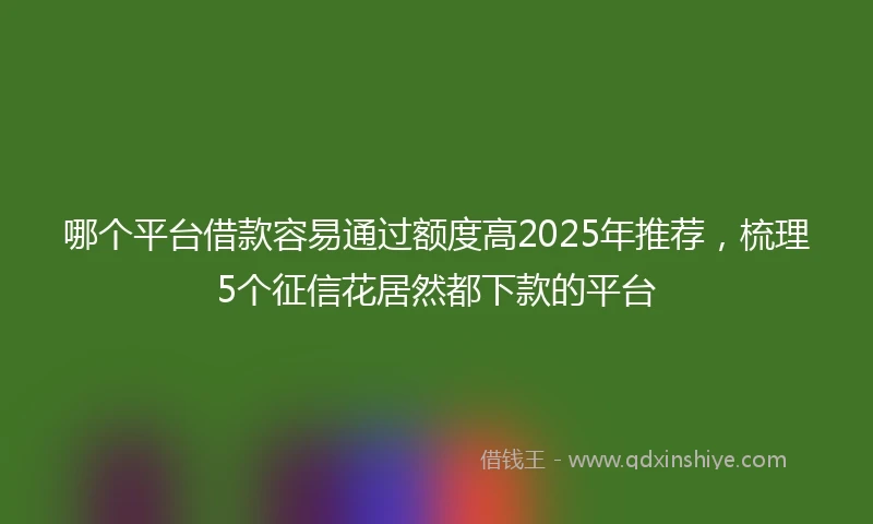 哪个平台借款容易通过额度高2025年推荐，梳理5个征信花居然都下款的平台