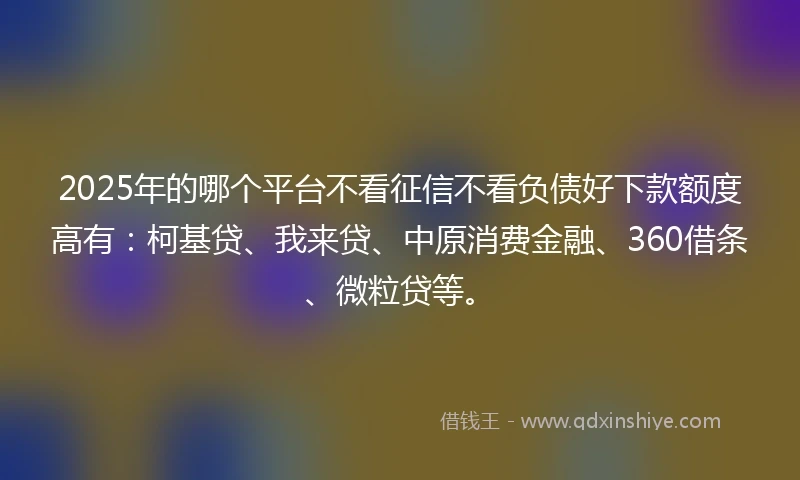 2025年的哪个平台不看征信不看负债好下款额度高有：柯基贷、我来贷、中原消费金融、360借条、微粒贷等。