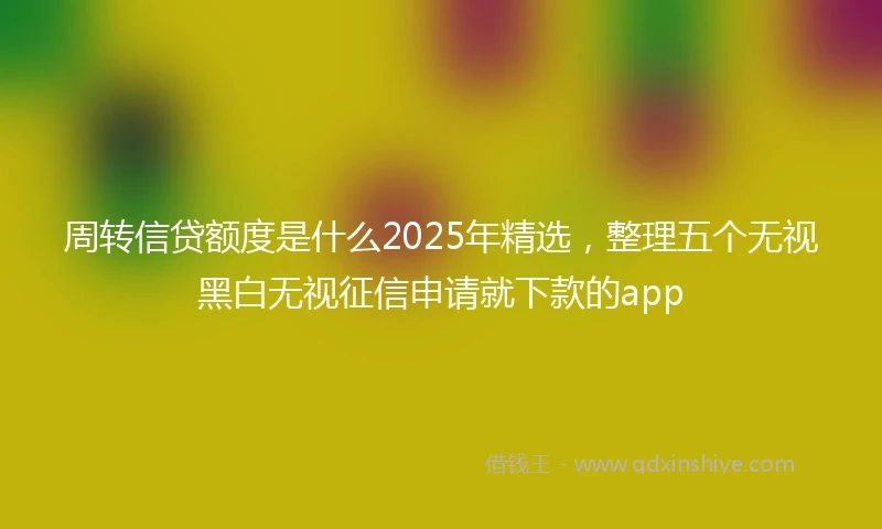 周转信贷额度是什么2025年精选，整理五个无视黑白无视征信申请就下款的app