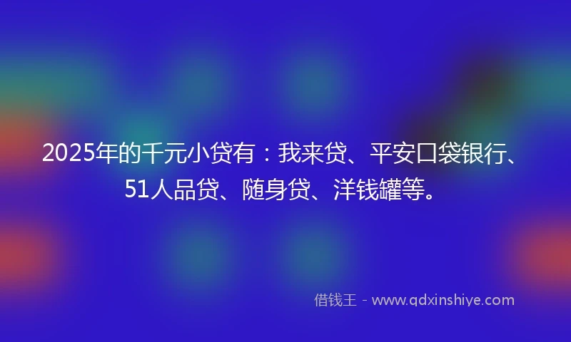 2025年的千元小贷有：我来贷、平安口袋银行、51人品贷、随身贷、洋钱罐等。