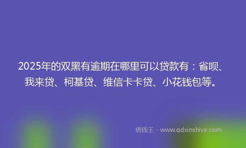 2025年的双黑有逾期在哪里可以贷款有：省呗、我来贷、柯基贷、维信卡卡贷、小花钱包等。