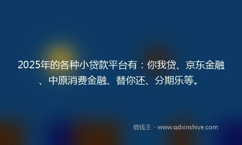 2025年的各种小贷款平台有:你我贷、京东金融、中原消费金融、替你还、分期乐等。