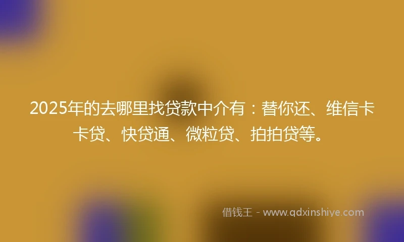2025年的去哪里找贷款中介有：替你还、维信卡卡贷、快贷通、微粒贷、拍拍贷等。