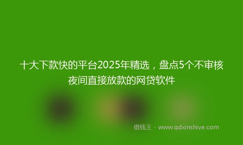十大下款快的平台2025年精选，盘点5个不审核夜间直接放款的网贷软件