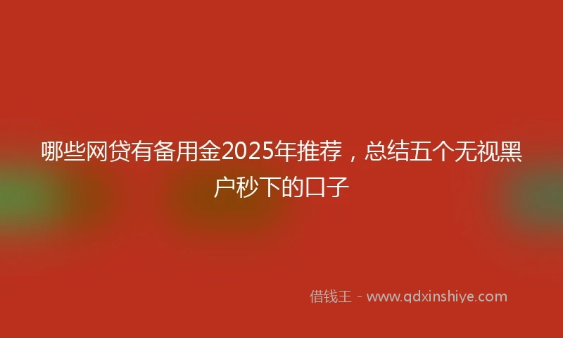 哪些网贷有备用金2025年推荐，总结五个无视黑户秒下的口子