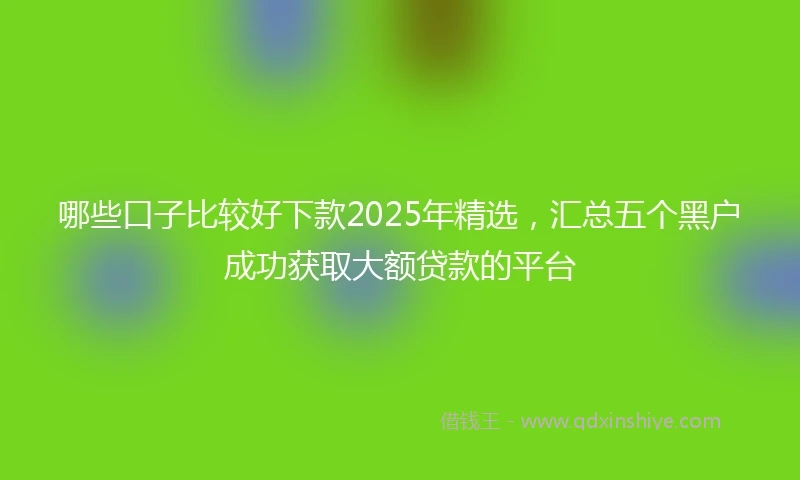 哪些口子比较好下款2025年精选，汇总五个黑户成功获取大额贷款的平台