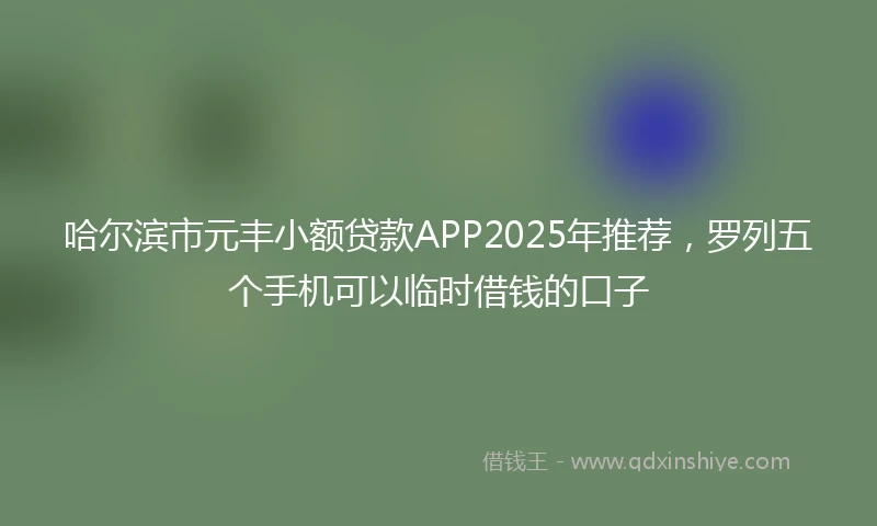 哈尔滨市元丰小额贷款APP2025年推荐，罗列五个手机可以临时借钱的口子