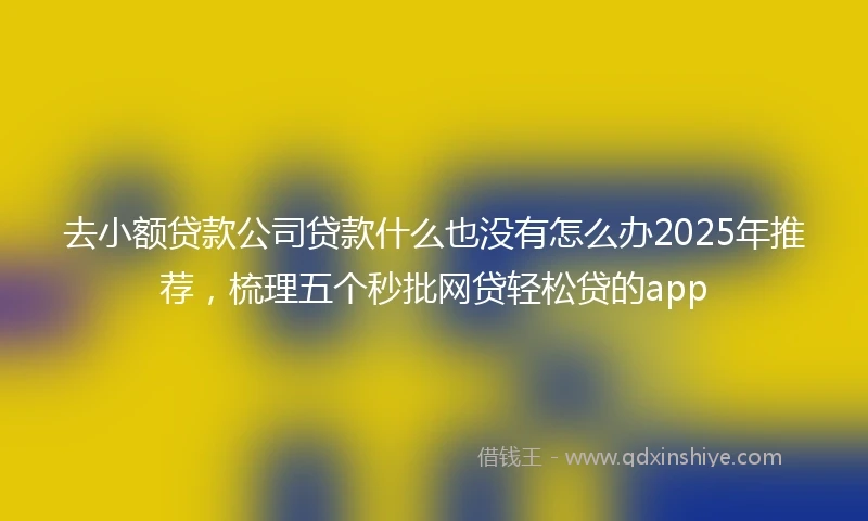 去小额贷款公司贷款什么也没有怎么办2025年推荐,梳理五个秒批网贷轻松贷的app