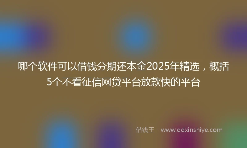 哪个软件可以借钱分期还本金2025年精选，概括5个不看征信网贷平台放款快的平台