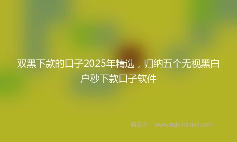 双黑下款的口子2025年精选,归纳五个无视黑白户秒下款口子软件