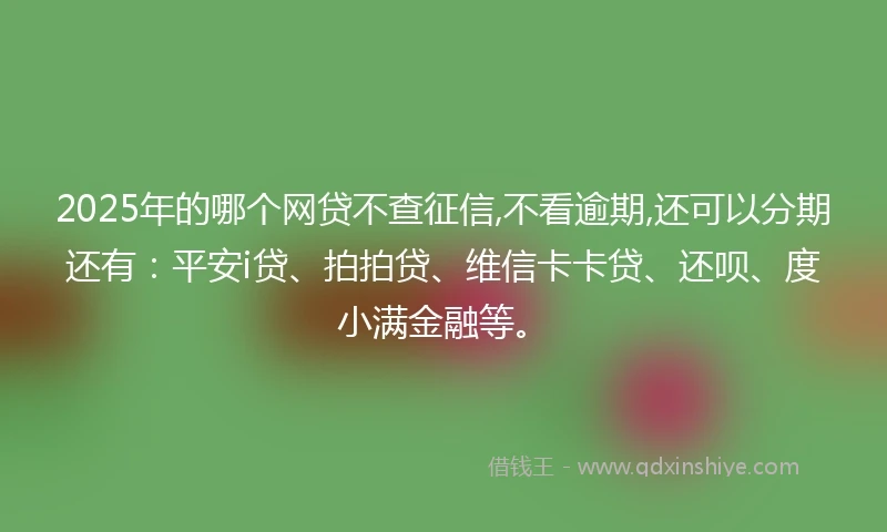 2025年的哪个网贷不查征信,不看逾期,还可以分期还有：平安i贷、拍拍贷、维信卡卡贷、还呗、度小满金融等。