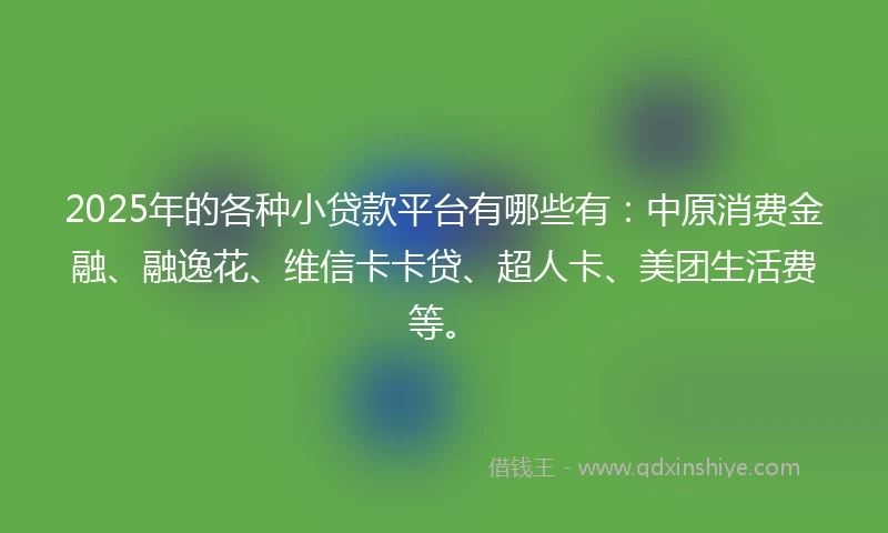 2025年的各种小贷款平台有哪些有：中原消费金融、融逸花、维信卡卡贷、超人卡、美团生活费等。