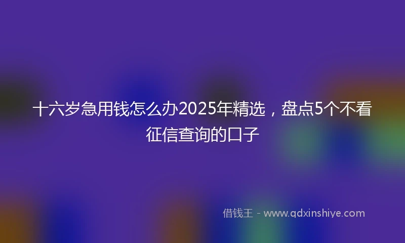 十六岁急用钱怎么办2025年精选，盘点5个不看征信查询的口子