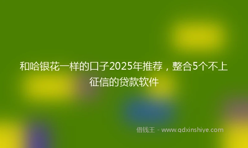 和哈银花一样的口子2025年推荐，整合5个不上征信的贷款软件