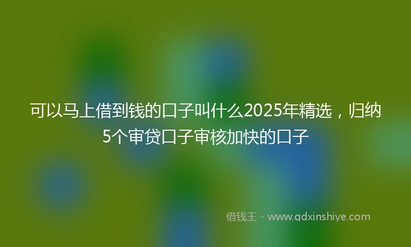 可以马上借到钱的口子叫什么2025年精选，归纳5个审贷口子审核加快的口子