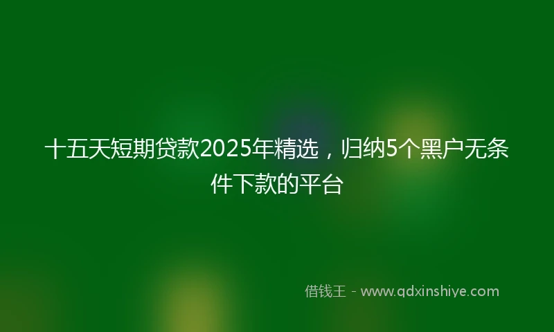十五天短期贷款2025年精选，归纳5个黑户无条件下款的平台