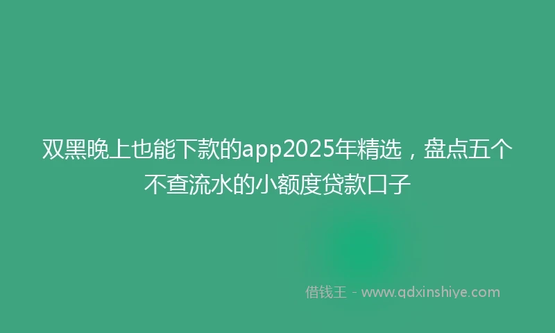 双黑晚上也能下款的app2025年精选，盘点五个不查流水的小额度贷款口子