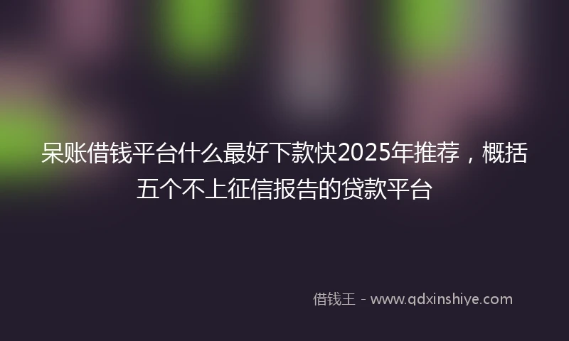 呆账借钱平台什么最好下款快2025年推荐,概括五个不上征信报告的贷款平台