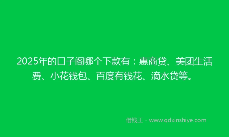 2025年的口子阁哪个下款有：惠商贷、美团生活费、小花钱包、百度有钱花、滴水贷等。