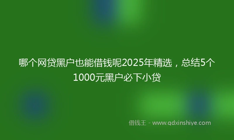 哪个网贷黑户也能借钱呢2025年精选，总结5个1000元黑户必下小贷