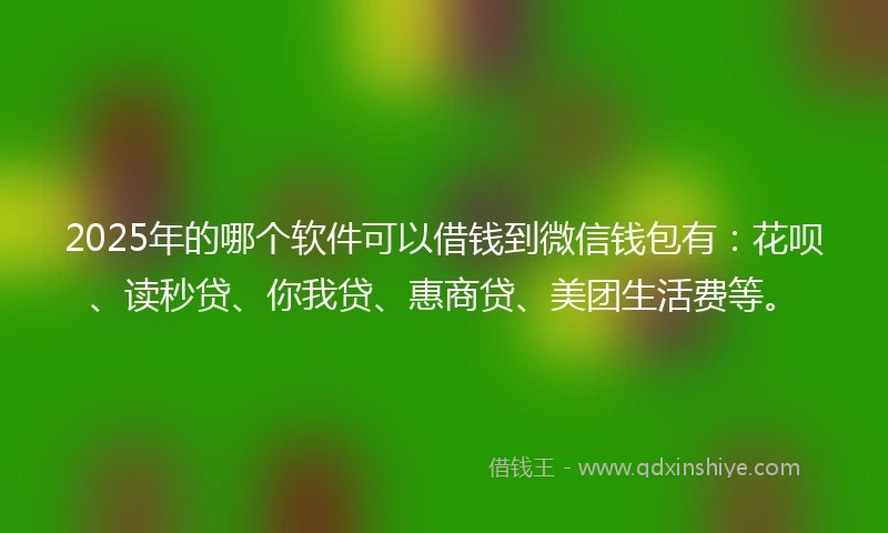 2025年的哪个软件可以借钱到微信钱包有：花呗、读秒贷、你我贷、惠商贷、美团生活费等。