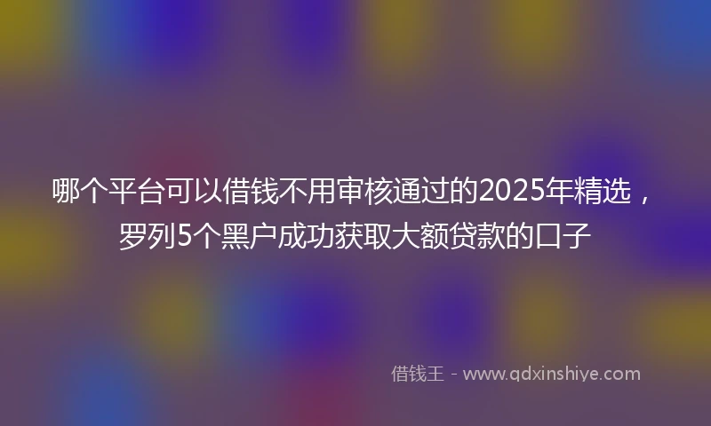 哪个平台可以借钱不用审核通过的2025年精选，罗列5个黑户成功获取大额贷款的口子