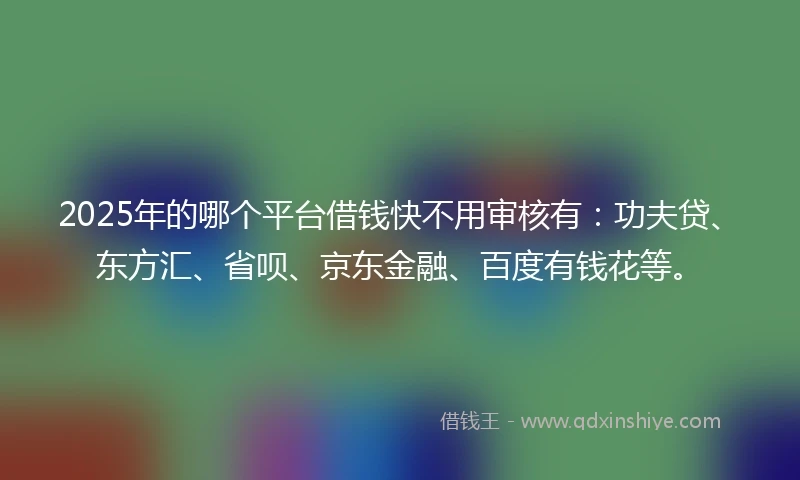 2025年的哪个平台借钱快不用审核有：功夫贷、东方汇、省呗、京东金融、百度有钱花等。