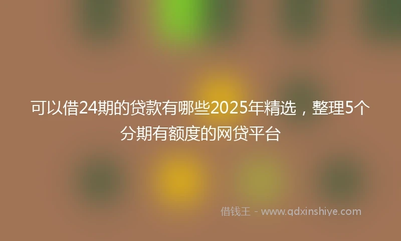 可以借24期的贷款有哪些2025年精选,整理5个分期有额度的网贷平台