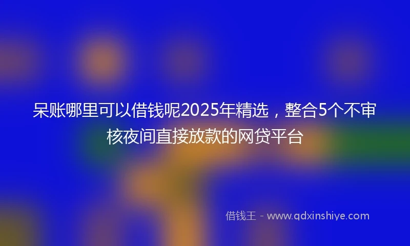 呆账哪里可以借钱呢2025年精选，整合5个不审核夜间直接放款的网贷平台