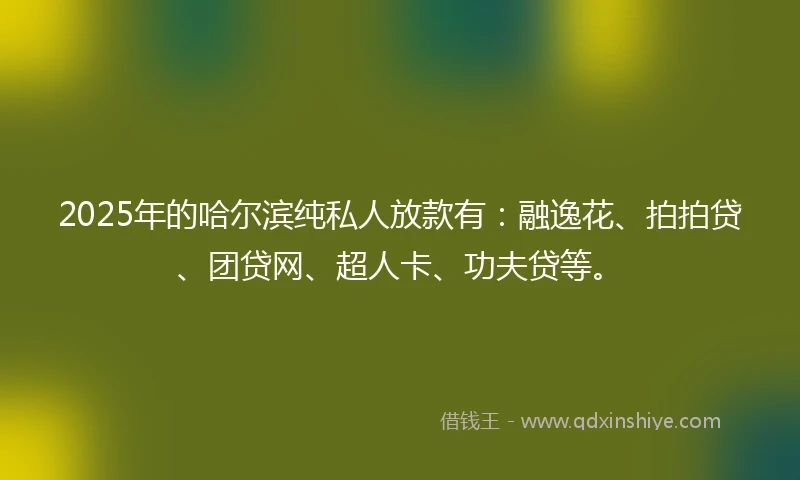 2025年的哈尔滨纯私人放款有：融逸花、拍拍贷、团贷网、超人卡、功夫贷等。